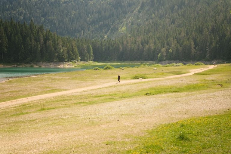 Embracing the Unknown: A Journey into the Wild